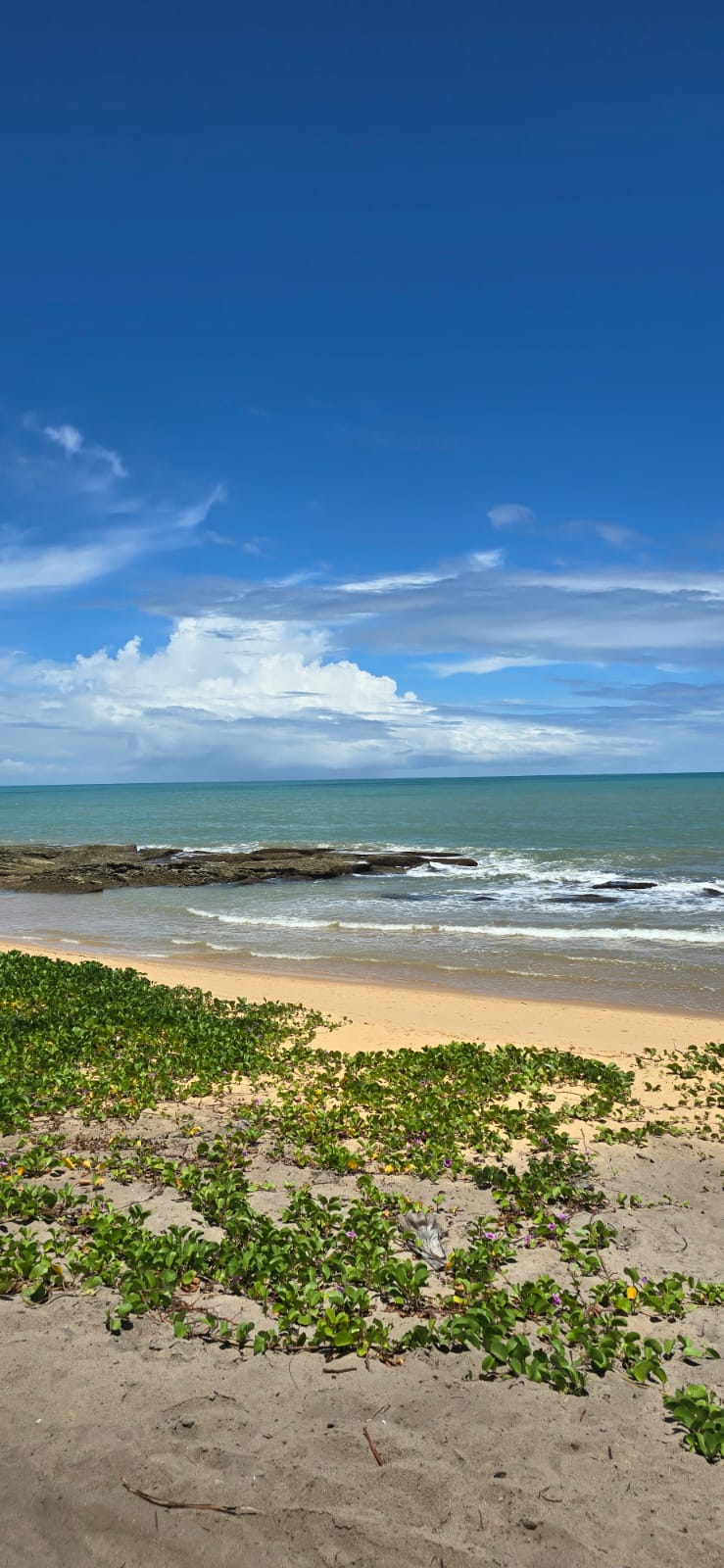Praia de areia clara e mar verde em frente à pousada
