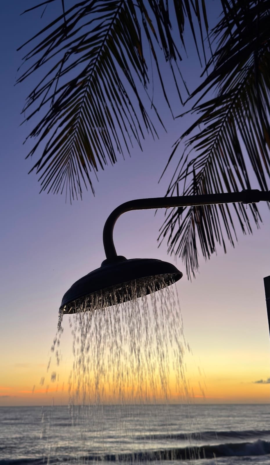 Chuveirão ao ar livre sob os coqueiros no fim de tarde